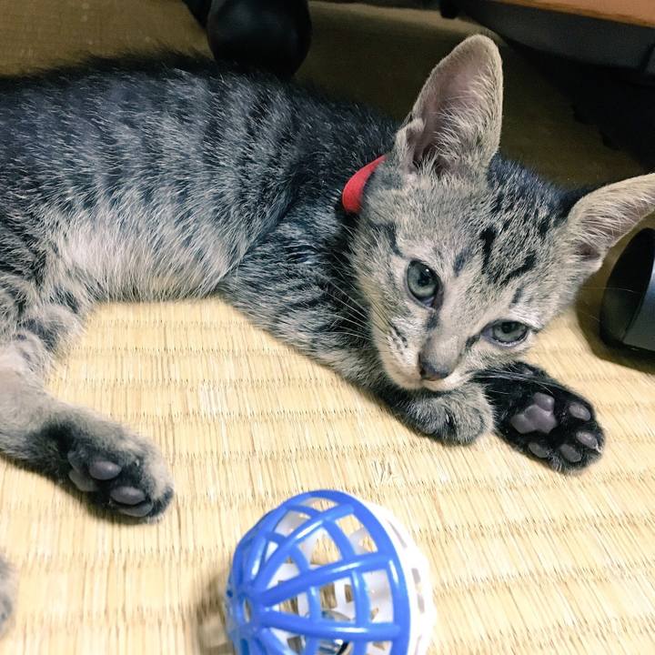 873e86f7 bd02 43c9 aa4a acc7191fbde3