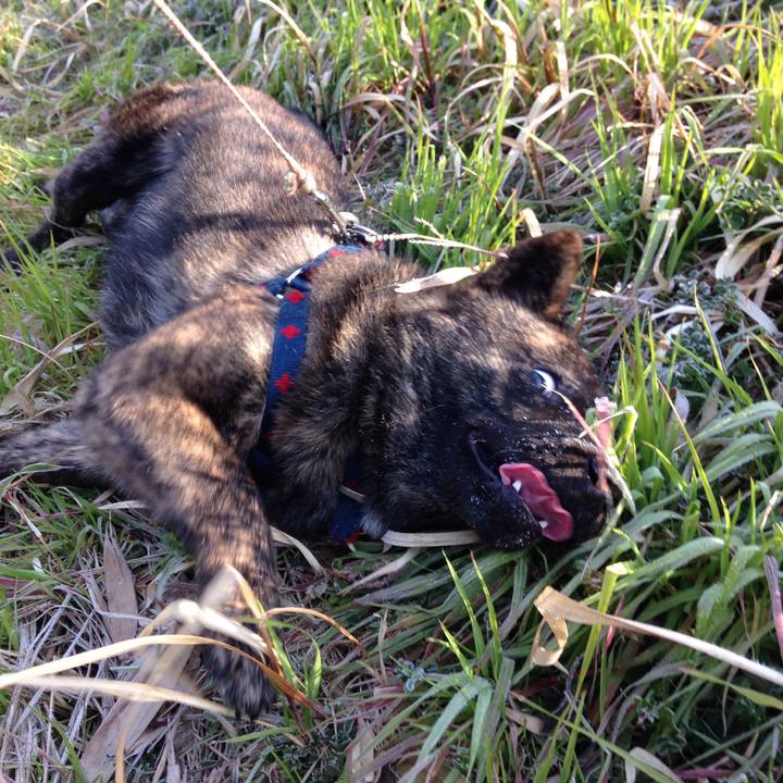 873edbd4 c801 4c6e a9df 58c3218104c7