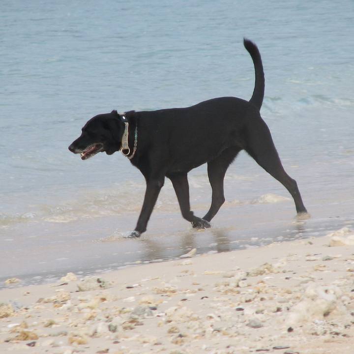 873ef4de 914d 4db6 9a4e c05d5b34ac24