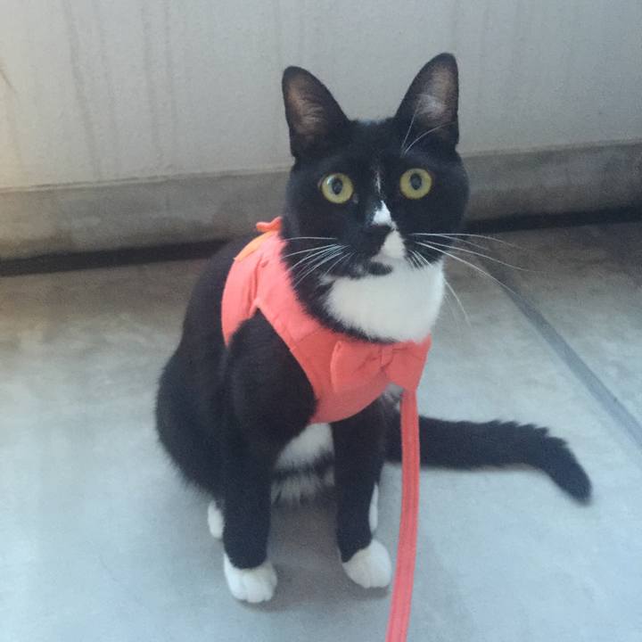 873f6a5f 3f35 45c9 9c73 0c786ef1cbd6