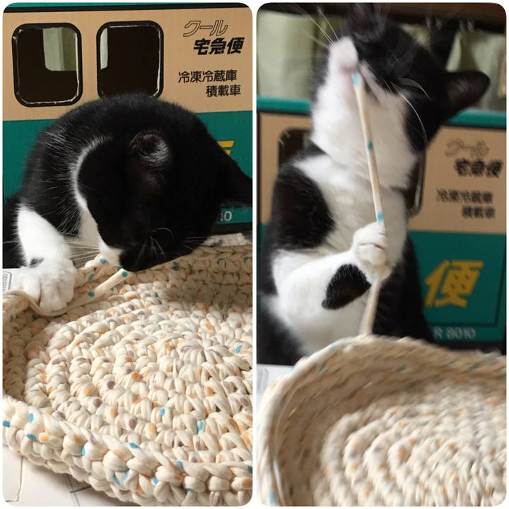 873fd0c6 492e 471a 804e 169e10c9d380