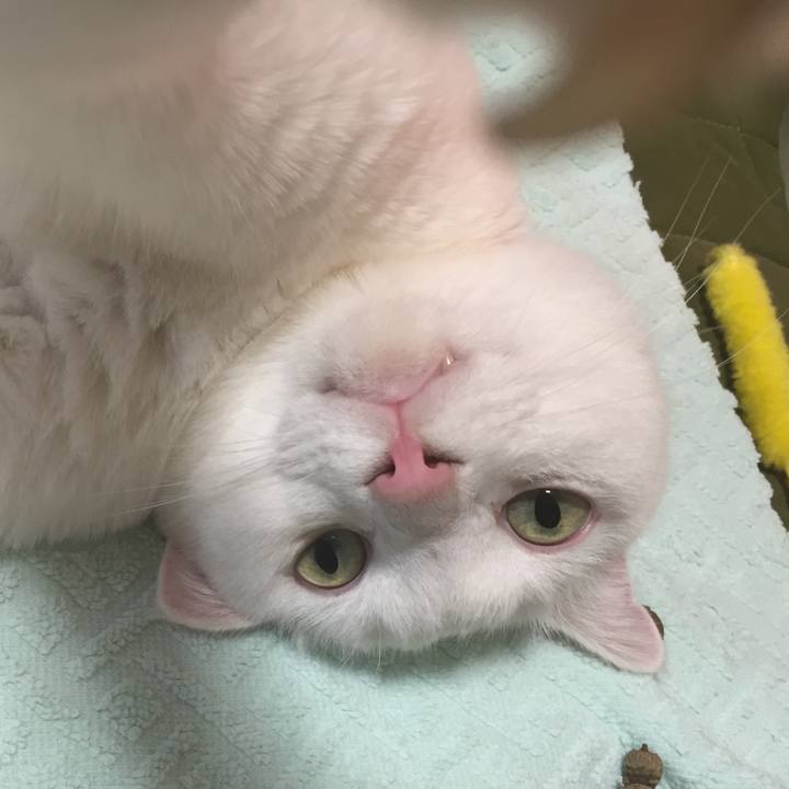 874071a5 aac5 4fd6 8063 c229c4ece4b9