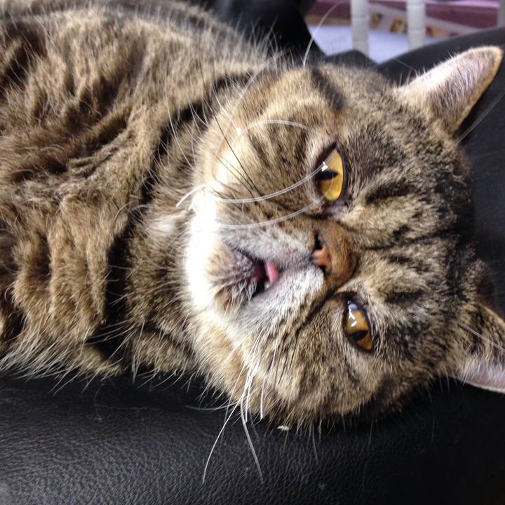 8740a5cb 1efb 4260 a481 d1116853f34a