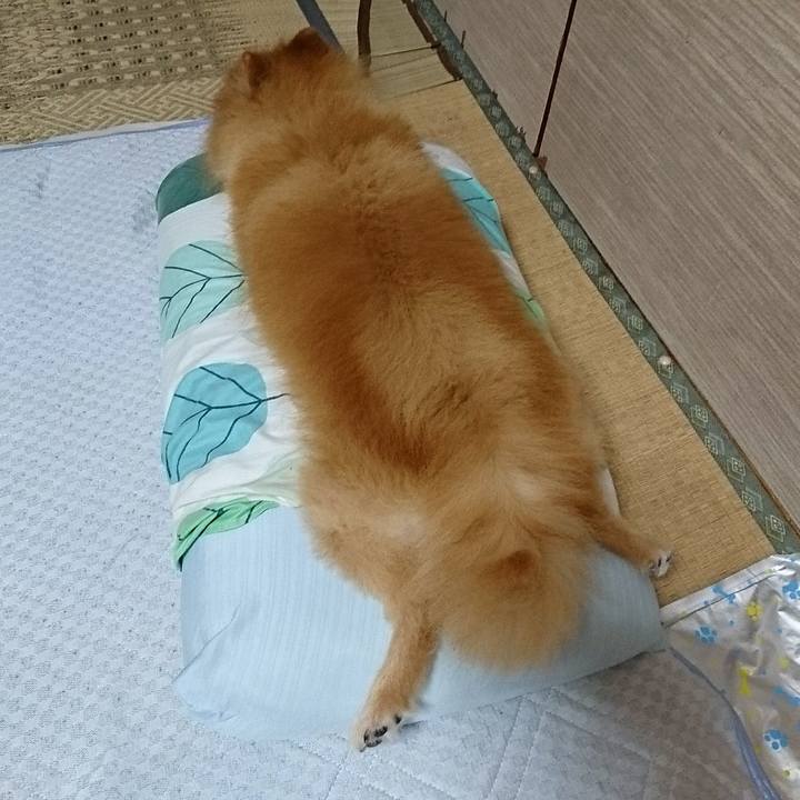 8740ac61 42df 4e15 a40a 1fee6274feb1