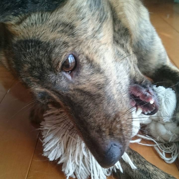 874178ae e27b 41b7 aa52 b8c3e03d2cf7