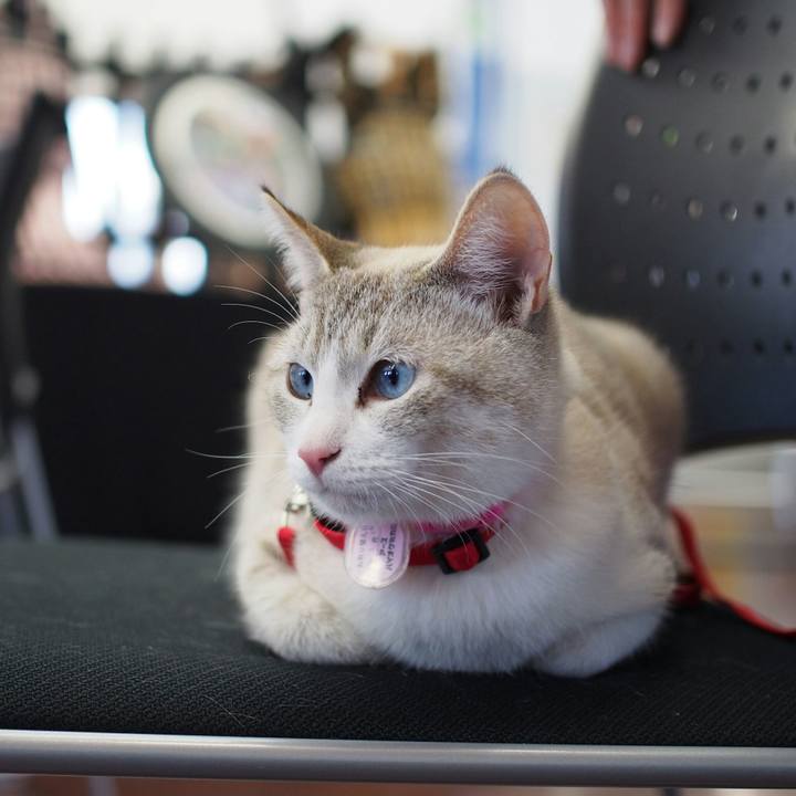 8741e87d 14e4 4321 ae94 54dfc611b7a7