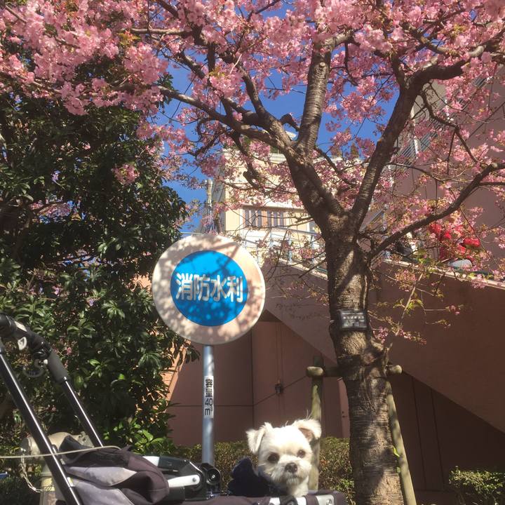 8741fe18 ffc8 4c3e af30 63d00ba29ecd