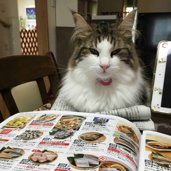 87421b34 af10 4627 bb25 d538c7176c82