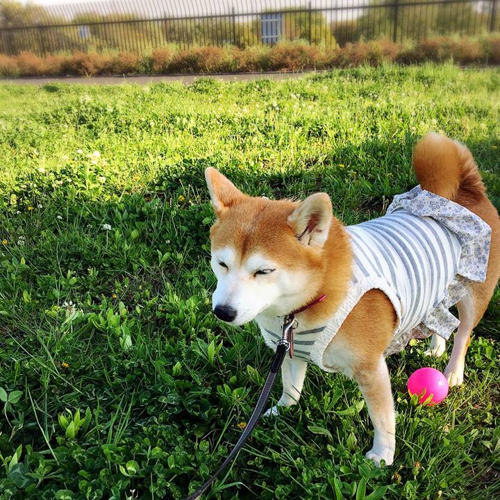 874242df 3d5e 48b9 afc7 1dd25035ce76