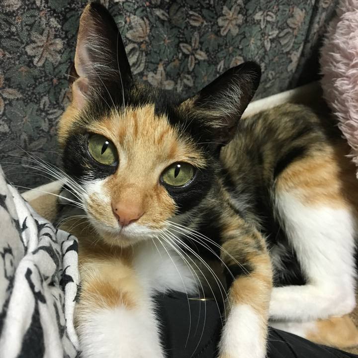 87427907 4792 40ca b2e1 6db1ecb336b9