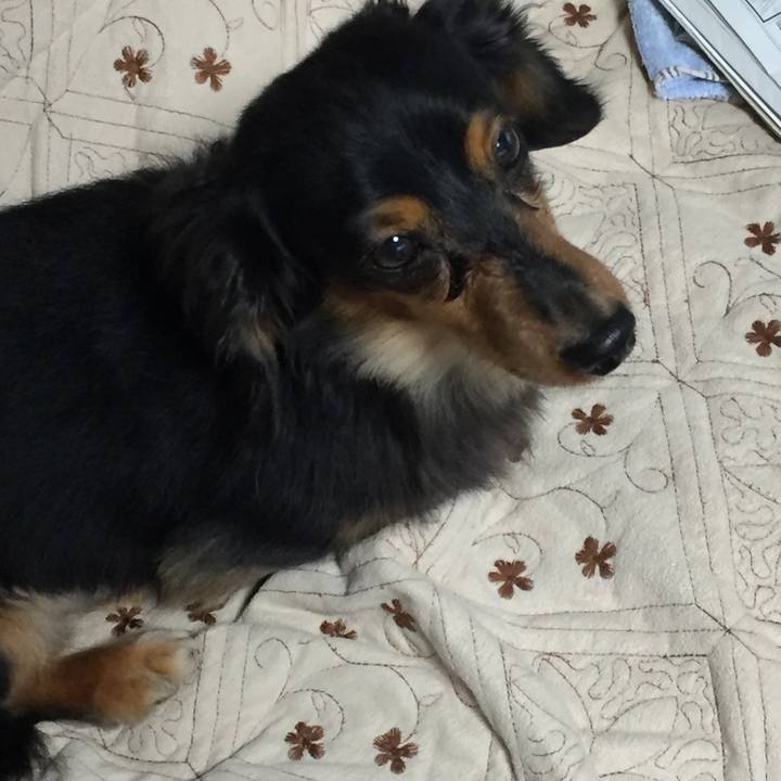 87429b8a 0f7b 477b ae5a 926a4d54444e