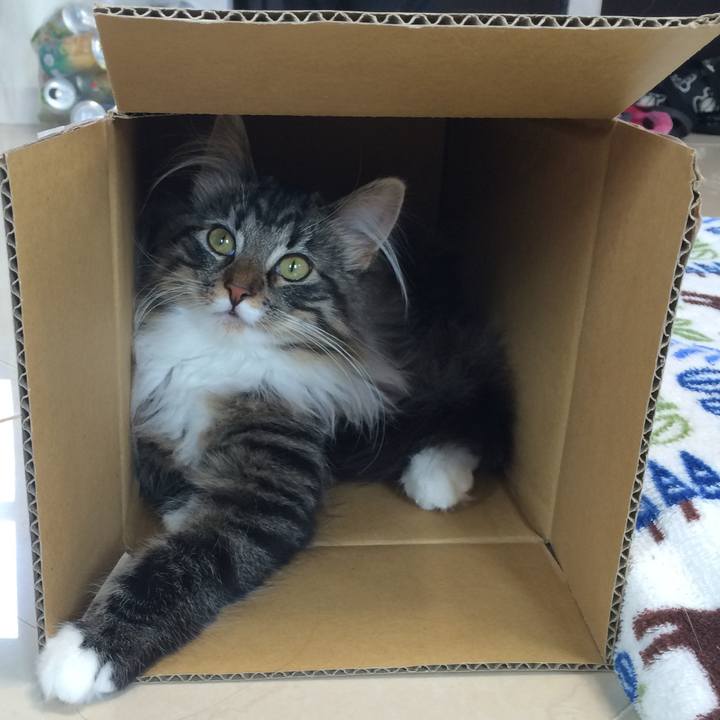 8743b445 1cd5 47e0 b1d7 c430f520c269