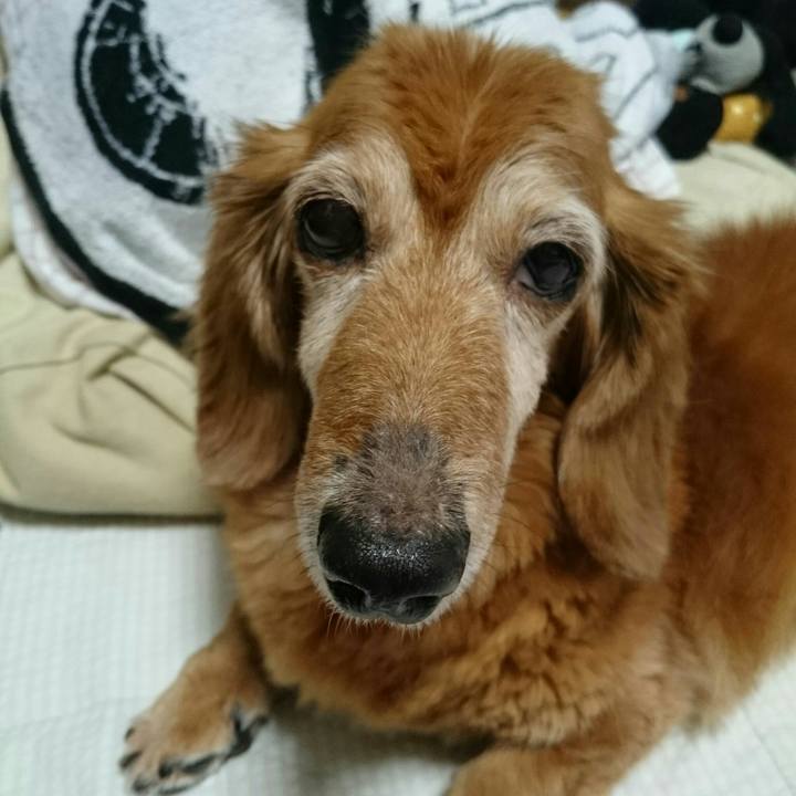 8743d3a8 2c30 41a8 b835 8d8d7fdd8bc0