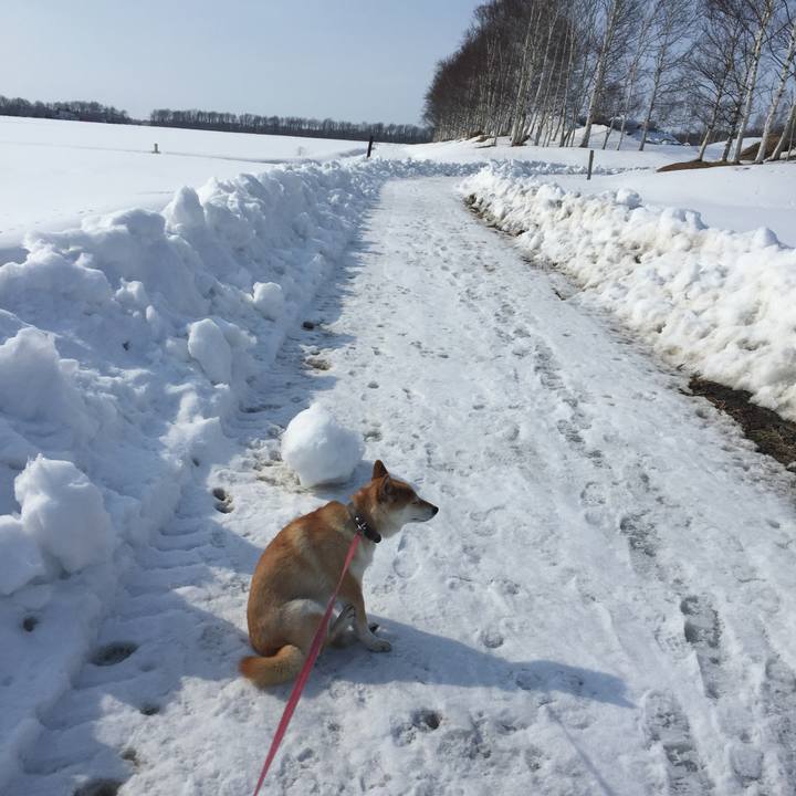 8743da8f 2d08 41d1 9b51 e2e412558658