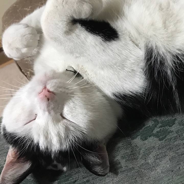 8744050c 1929 44d8 9fcd 6f7677da71a1