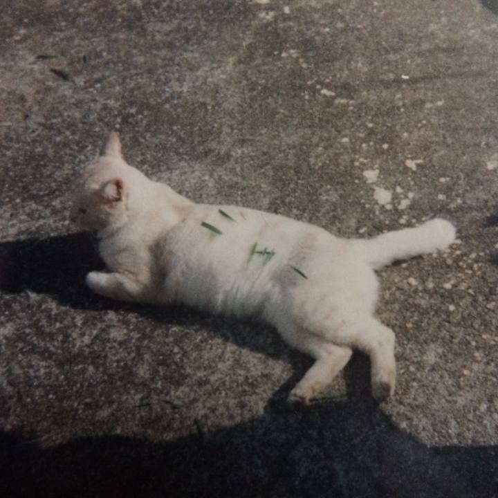 87440f2b 97f5 4913 9f1b 6fa7e0f5be74