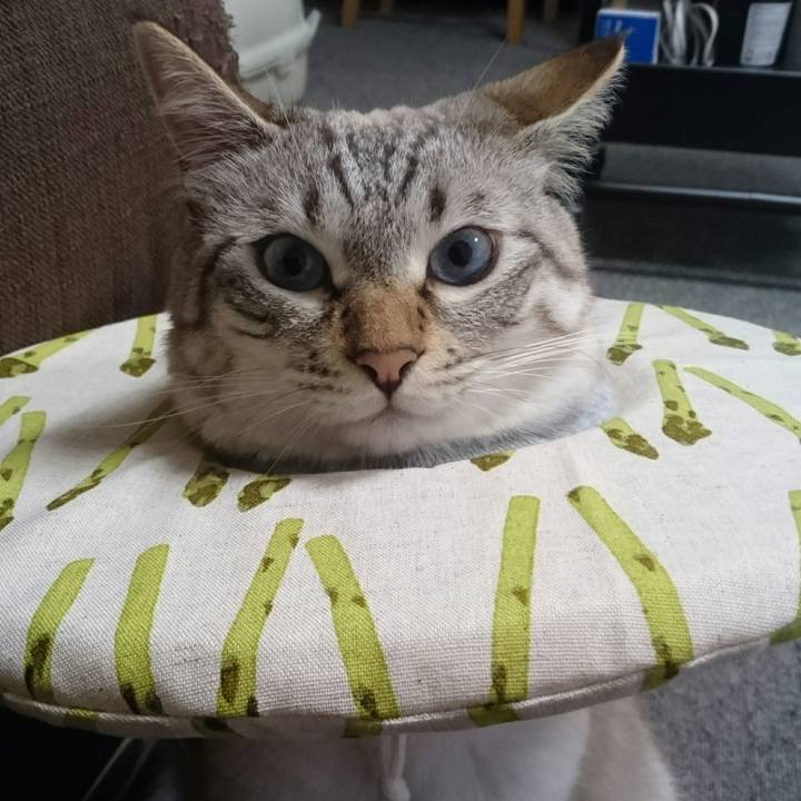 87443253 20c9 41b1 a249 efd3b86f3475