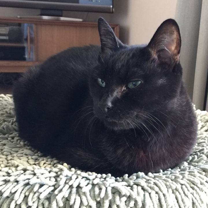 8744d592 af74 483d a693 b64f60013ed1