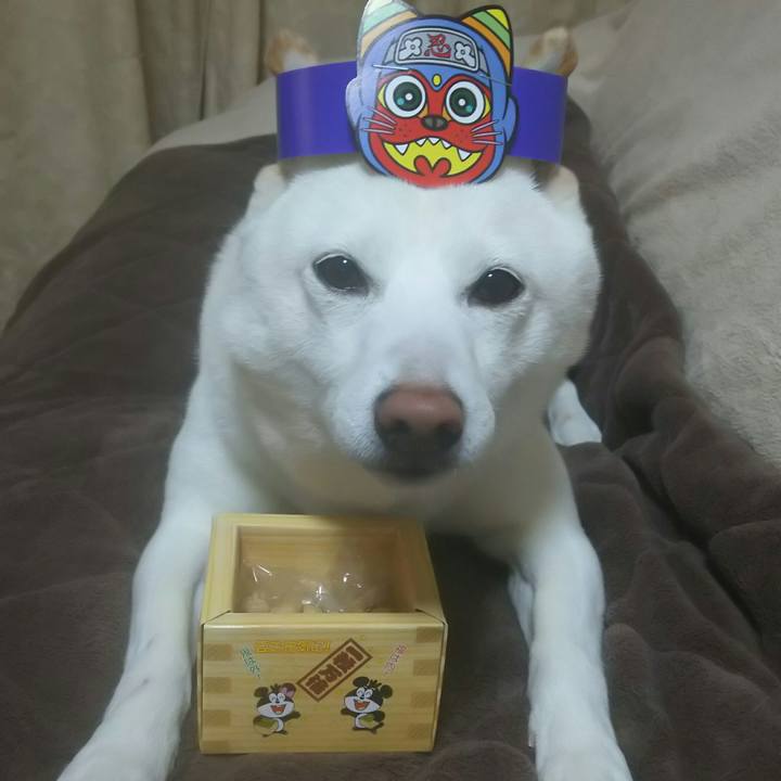 8744ef17 ac4e 4511 8dfa c2ae7cbfafdf