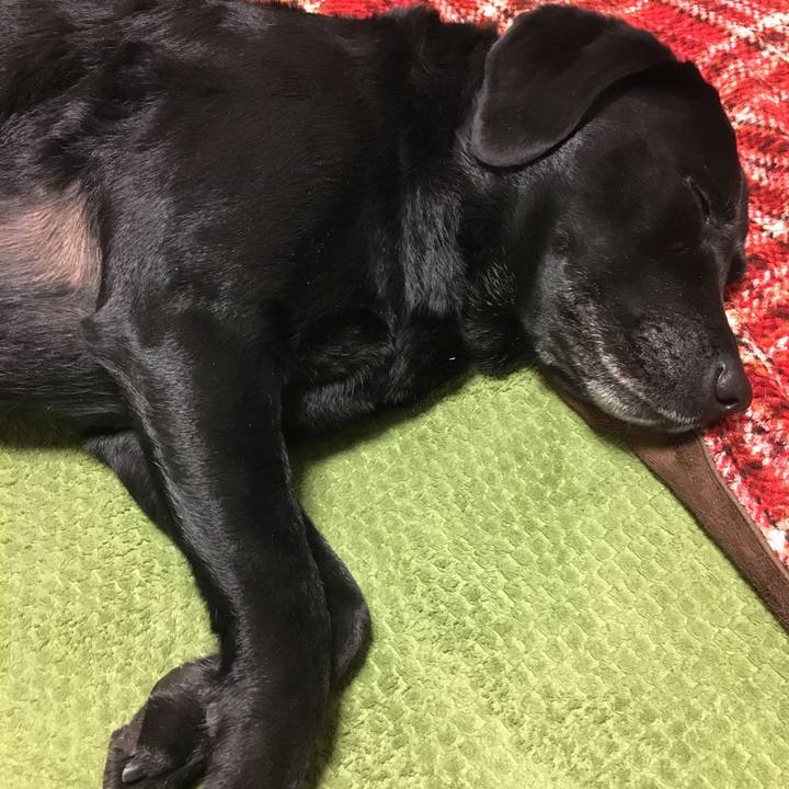 874566f9 eb3f 4881 a58a b2c5e1c49b05