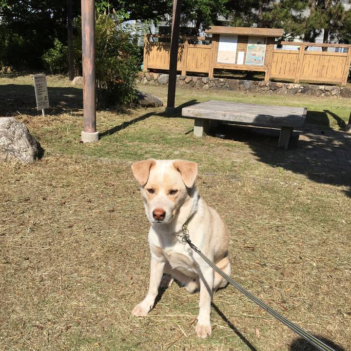 8745824e 0dda 49b8 b583 99a88544c69c