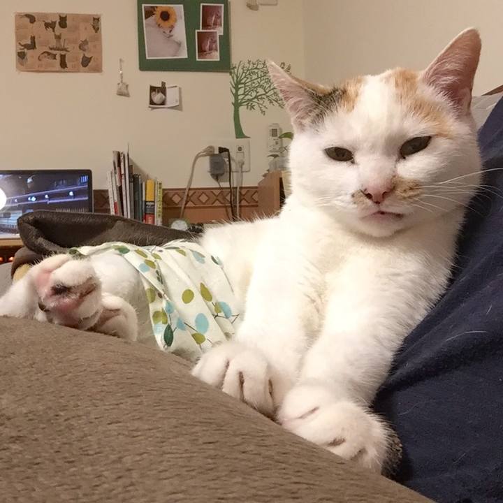 8745b93e 77cd 4439 b116 ce695d0a9245