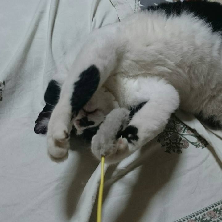 8745beb1 490c 4fbd b3c2 72cc378d439a