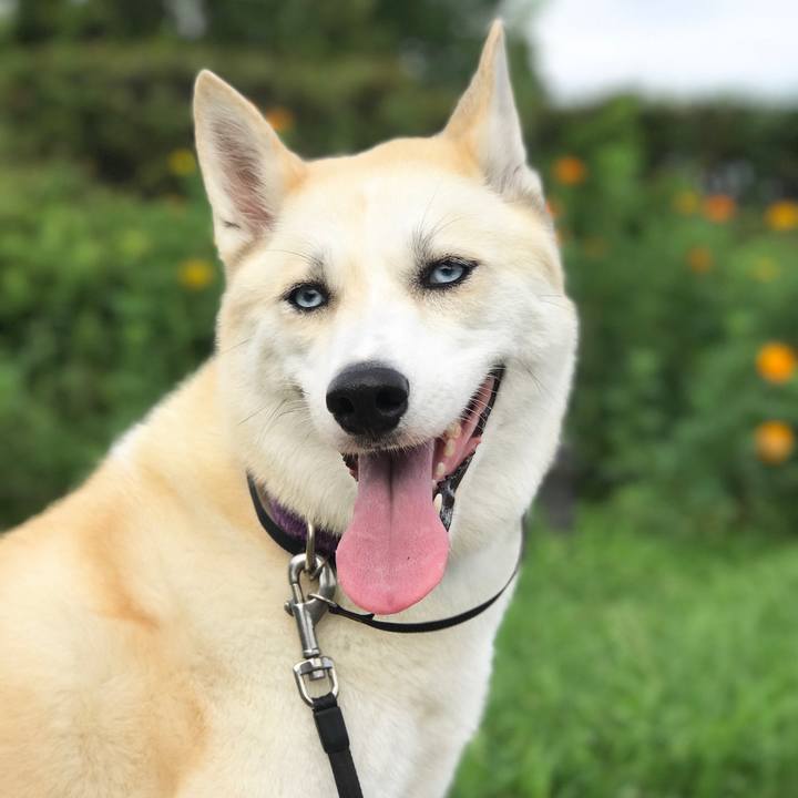 87461036 a975 499a 828a d97bb910959a