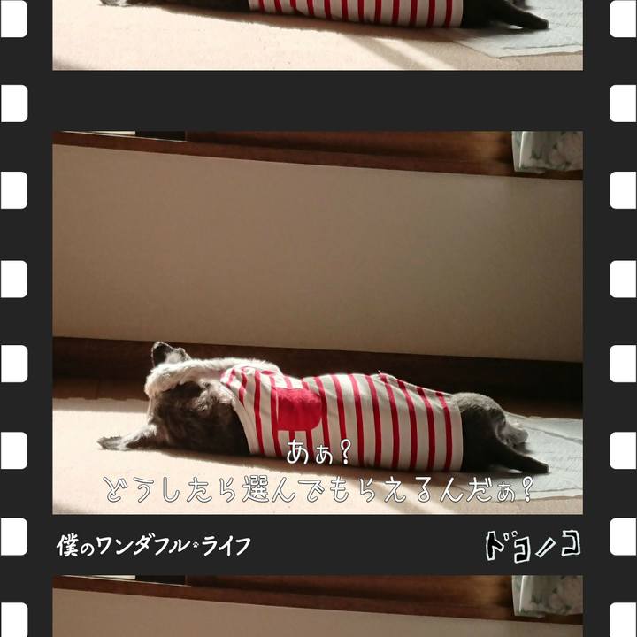 87468c80 6754 4a28 9a18 7de6dffb71d9