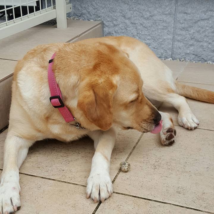 874694b7 9532 4799 a013 3985d4c15f7d