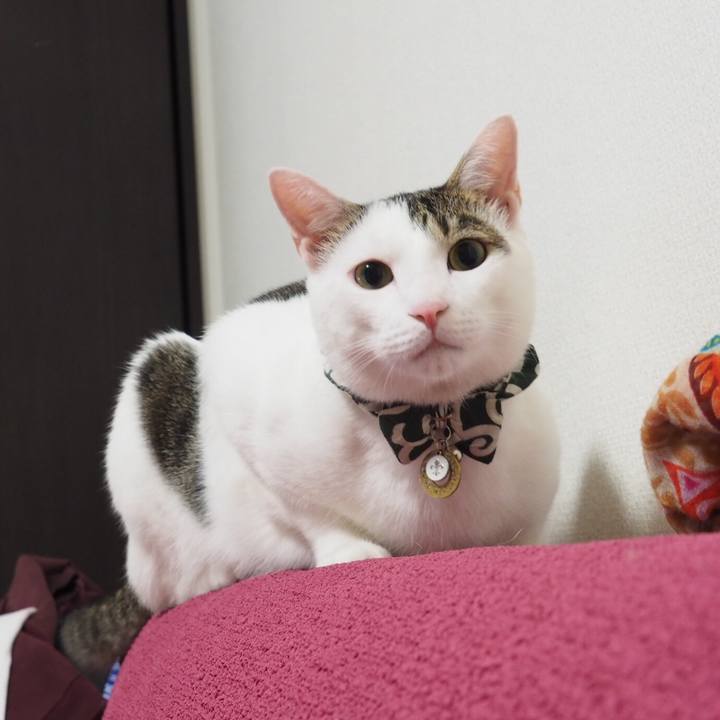 87473905 041f 4a48 948e 02493fb92447