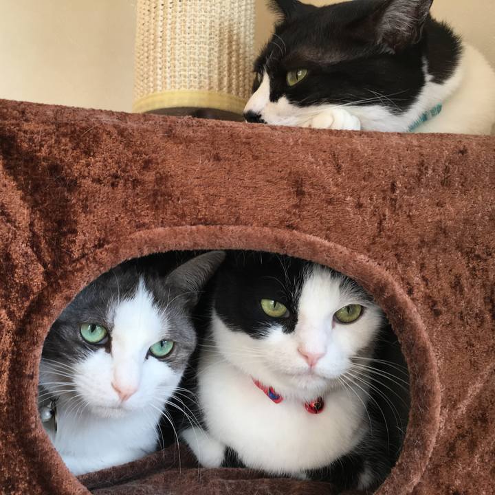 8748a553 6023 427b 9b16 f833d189219d