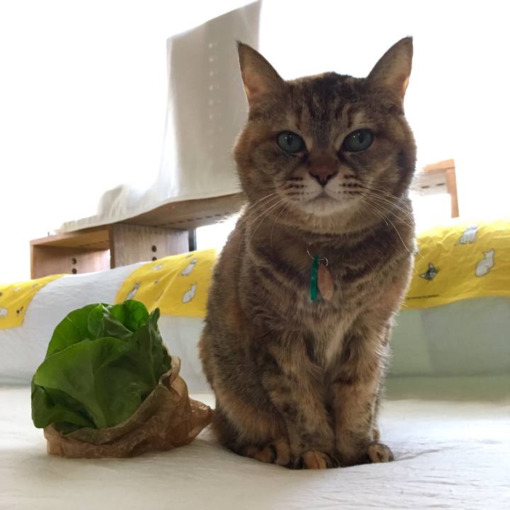 8748de8a 15d5 46c4 b34f e821f04d4d36