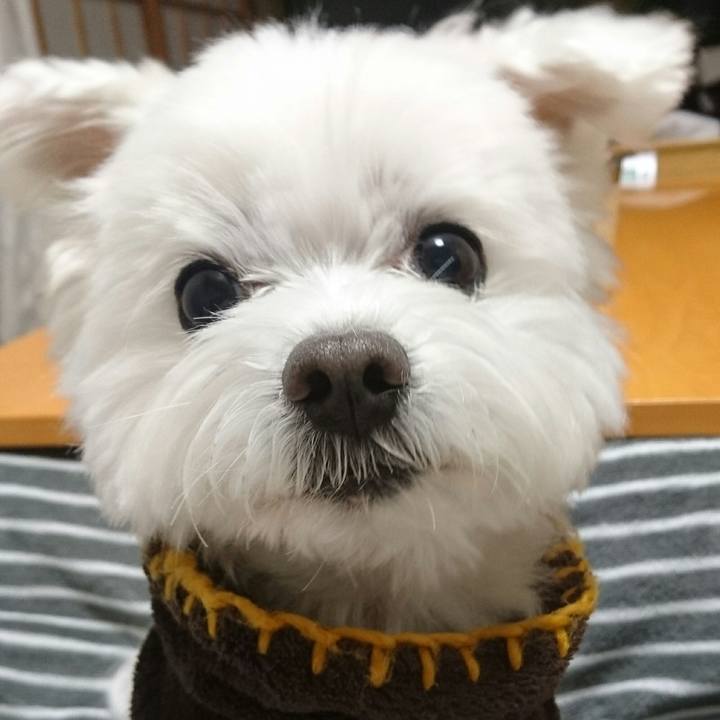 874931a3 b33a 4b4e bb11 dfbe0473cdf4