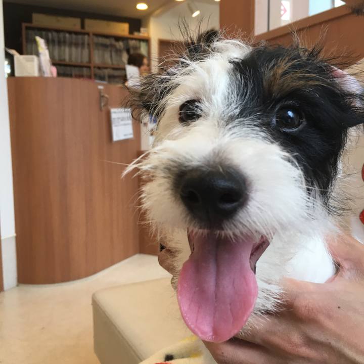 87497743 0cab 4e68 aa33 410a7122e338