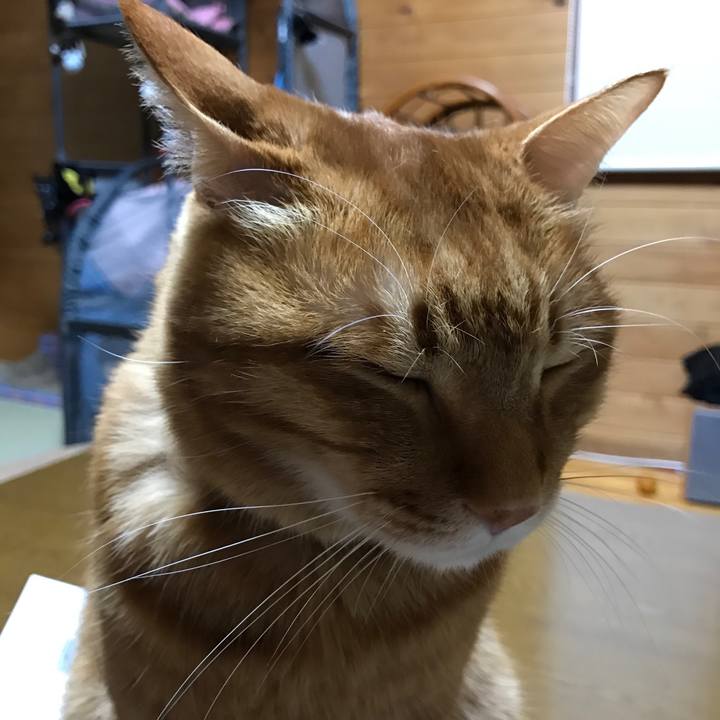 8749c441 afcd 4861 b827 bc7a9f045720