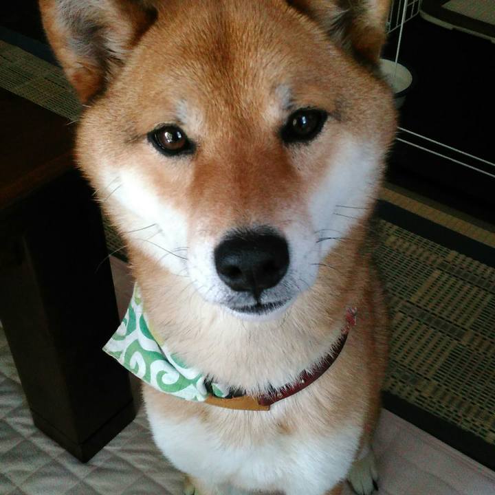 8749fff7 1776 40f4 88b6 f0ef8f569e92