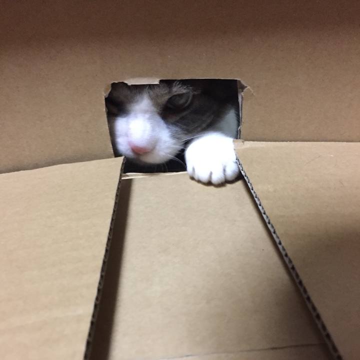 874a7946 b518 41c3 9107 c548559974a1