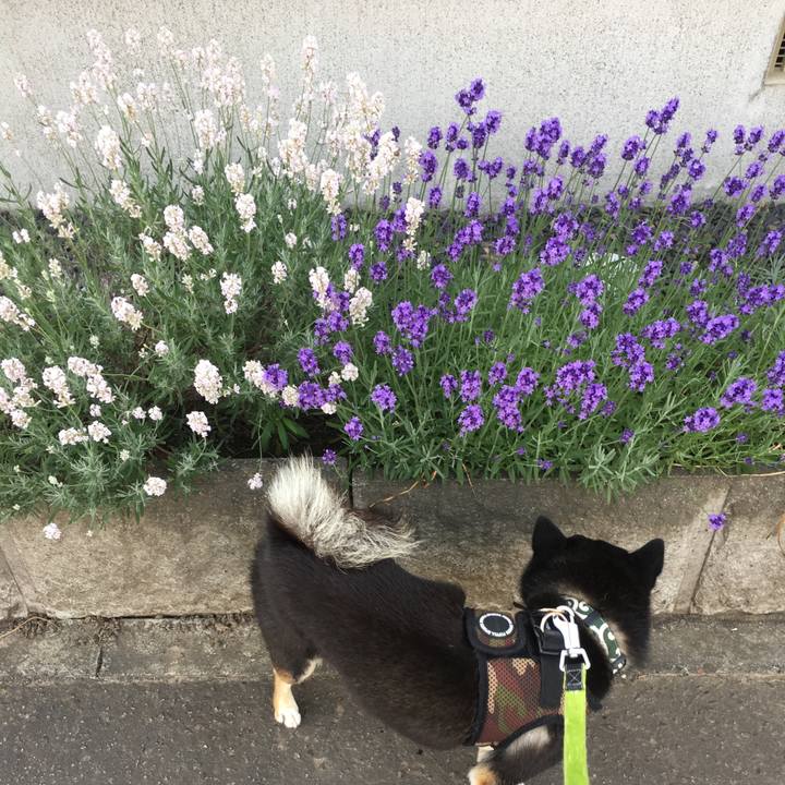 874acf2e c6ef 4eac bf54 48b8ac185a3e