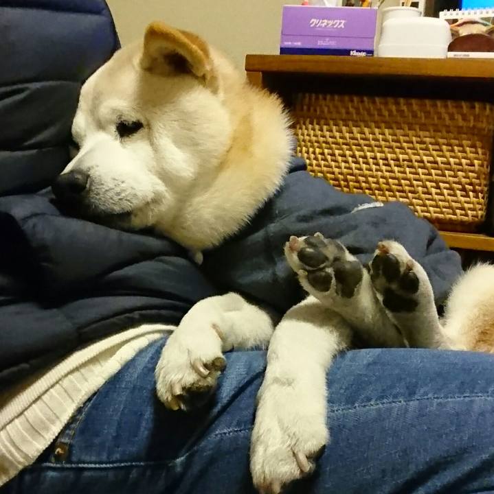 874bef63 c556 4ac5 9cca 862819e3d4b0