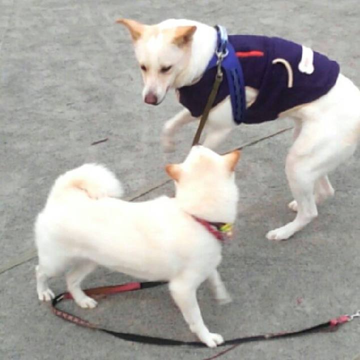 874c8759 4d1e 411f 8501 4290ec2742d4