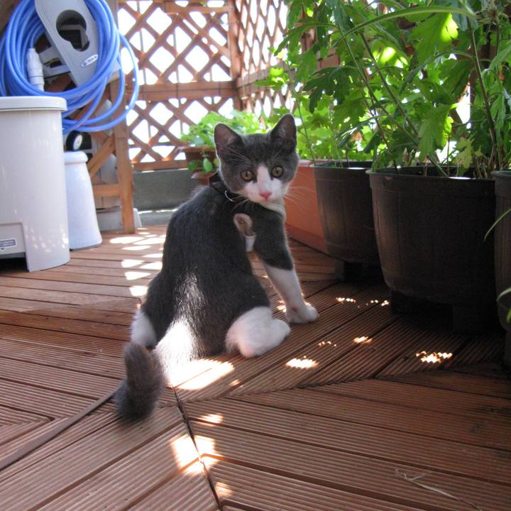 874ca3e8 bdbc 4808 b90d c27332a2db2a