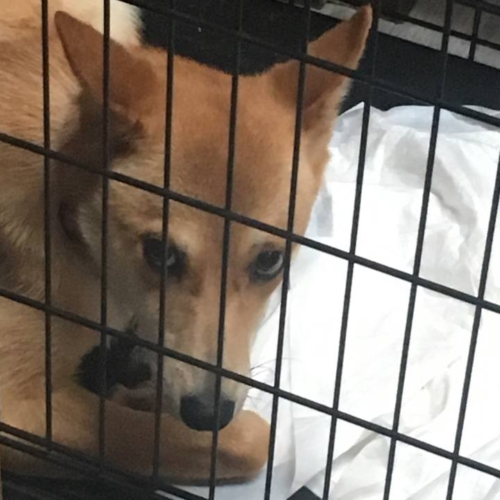 874caa7e 285d 4174 9b3a 86382e6d446c