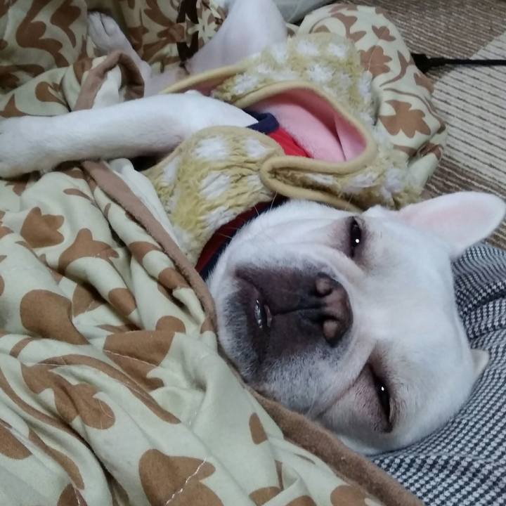 874cd7e5 6603 4fe8 86bb a6a74b55c87b