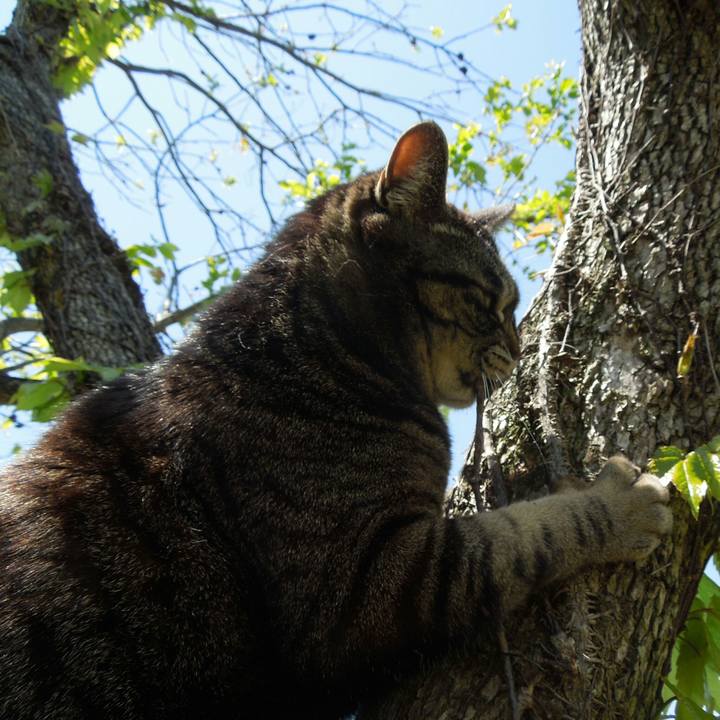 874d70e7 fd0b 4314 bb6c 405a8f6fae72