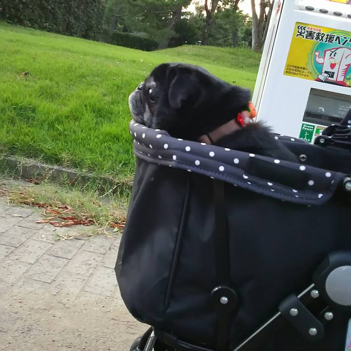 874e00b3 42e5 47ac a07e 5de520824930