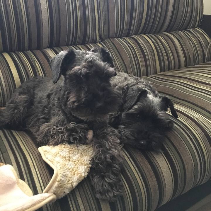 874e0472 6a58 4918 aa08 451c318dfa2d