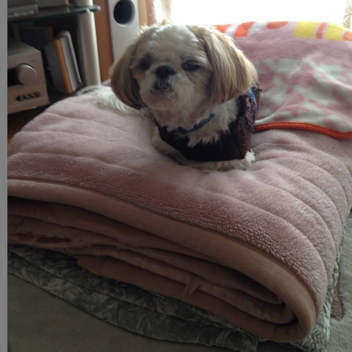 874e0bdb 8708 48a3 a8dd c89165101b07