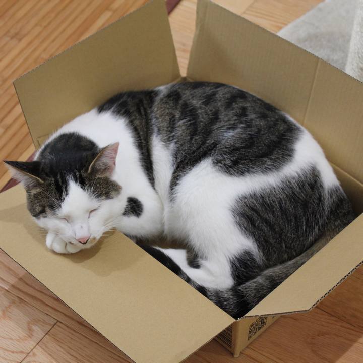 875016f1 1412 402b 8ceb 145315cb8b4f