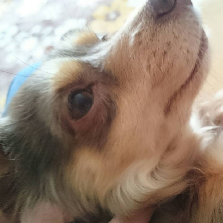 87510c5a bd6a 422d 8d81 eb166a107461